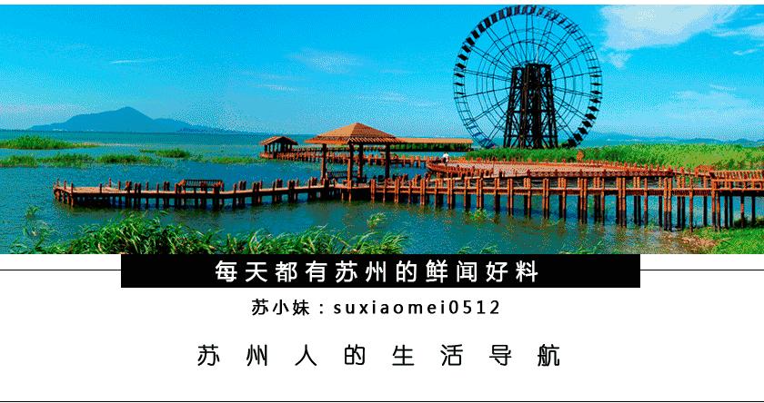 宝宝接种流感疫苗爸妈关注这三点,苏州宝宝疫苗接种攻略