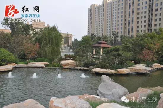 张家界的亲都知道吗？听说找到一套满意的房子能提高幸福感......