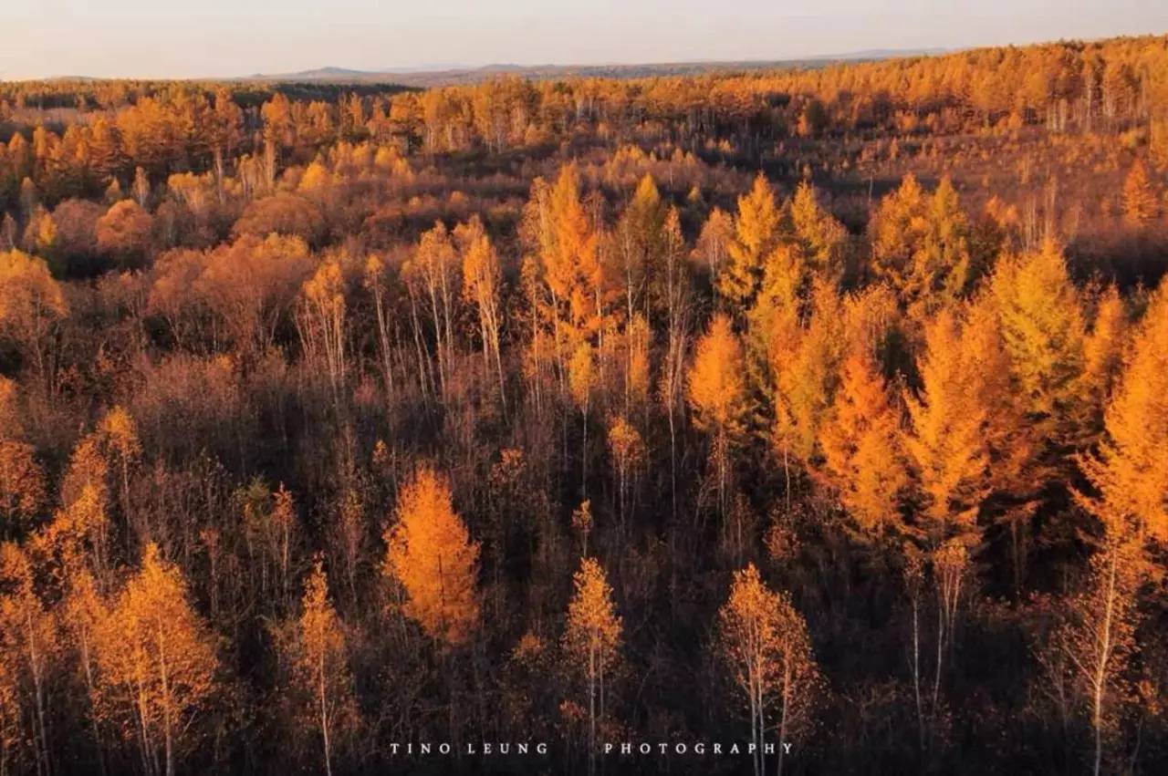 晒枫叶朋友圈,深秋赏枫胜地