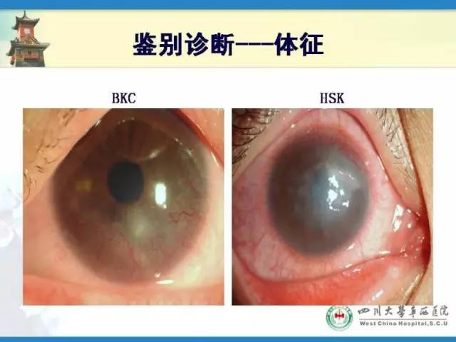 邓应平坐诊医院,邓应平成都坐诊