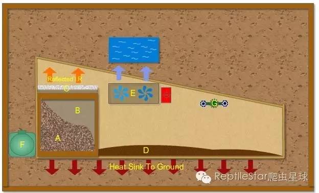 ReptileStar爬虫星球