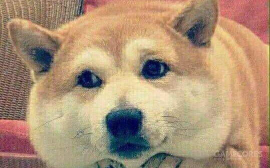 怪物猎人物语还有续作吗,怪物猎人物语130版本