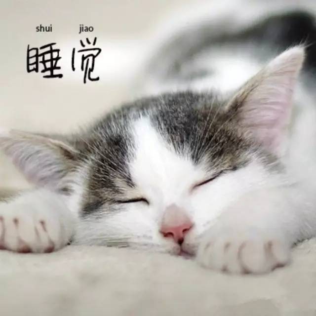 下雨天适合做的五件事,下雨天该做些什么