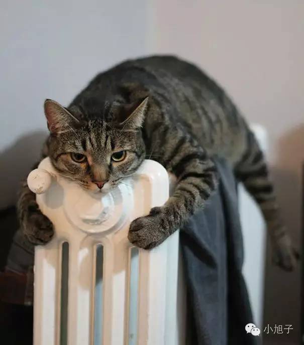 妈妈们曾经羞于谈起的事情，如今我想和你讨论讨论