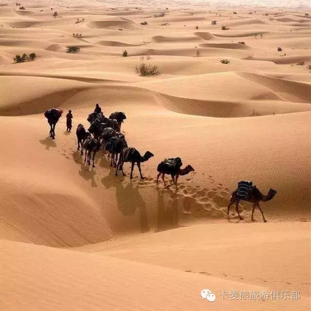 埃及电子签入境,埃及电子签出关