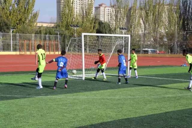 成都最近的青少年足球比赛,青少年足球锦标赛大获全胜