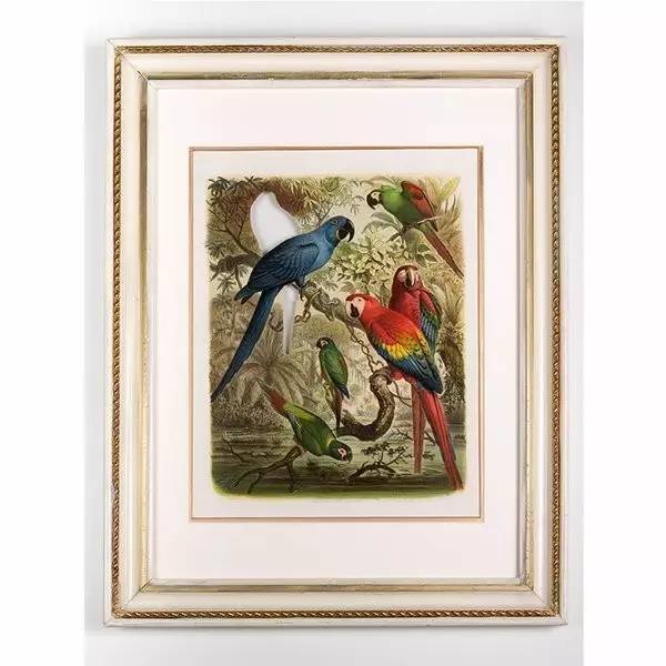 变异生物迷你世界,变异生物有哪些