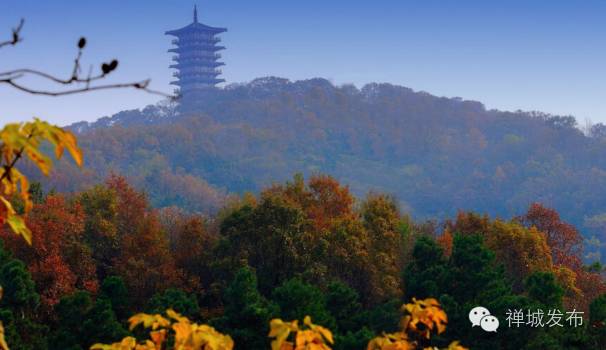 佛山机场增加航班,佛山沙堤机场最便宜航线