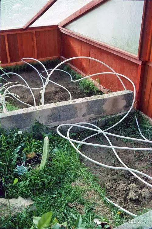 ReptileStar爬虫星球