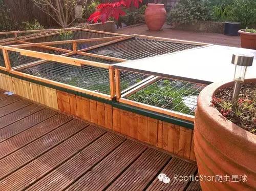 ReptileStar爬虫星球