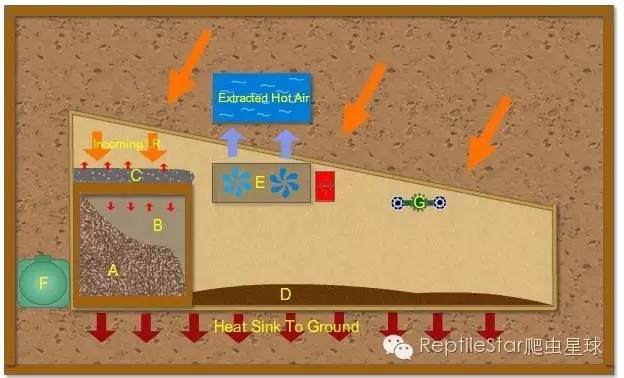 ReptileStar爬虫星球