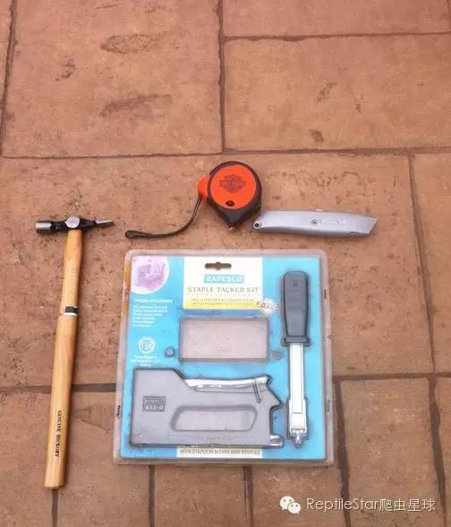 ReptileStar爬虫星球