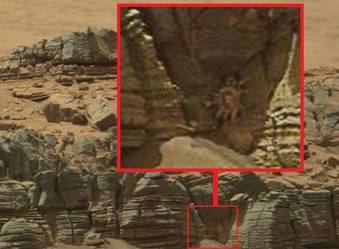 照片上有鬼影怎么回事,照片上的鬼影是什么