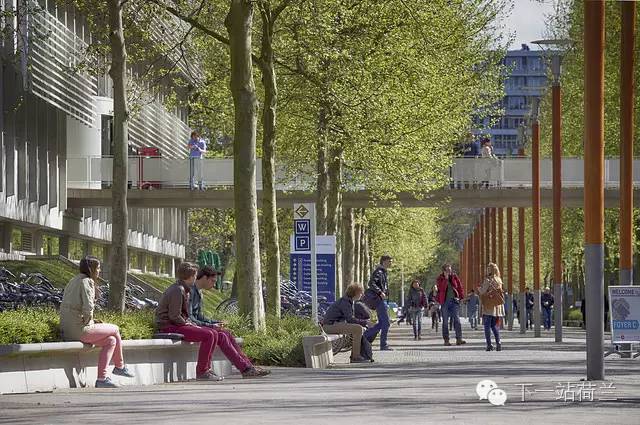 蒂尔堡大学,我的母校