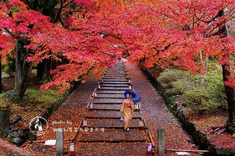 晒枫叶朋友圈,深秋赏枫胜地