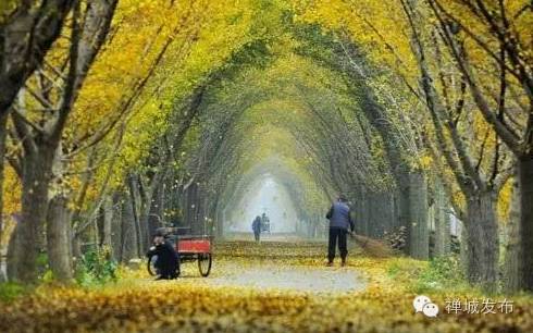 佛山机场增加航班,佛山沙堤机场最便宜航线