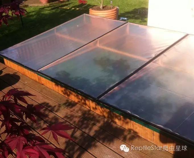 ReptileStar爬虫星球