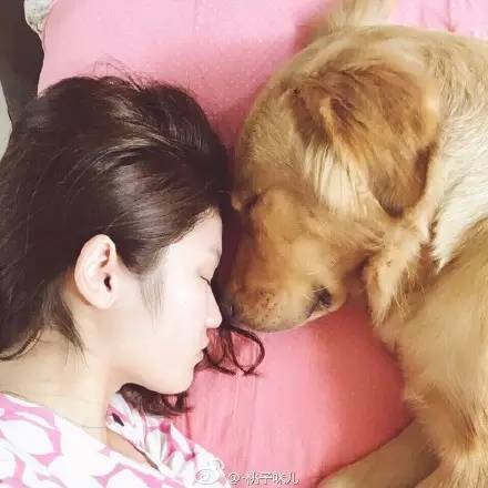 睡相最差的狗狗,狗狗睡狗窝和睡地板的区别