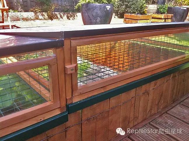 ReptileStar爬虫星球