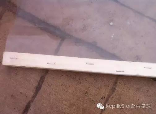 ReptileStar爬虫星球