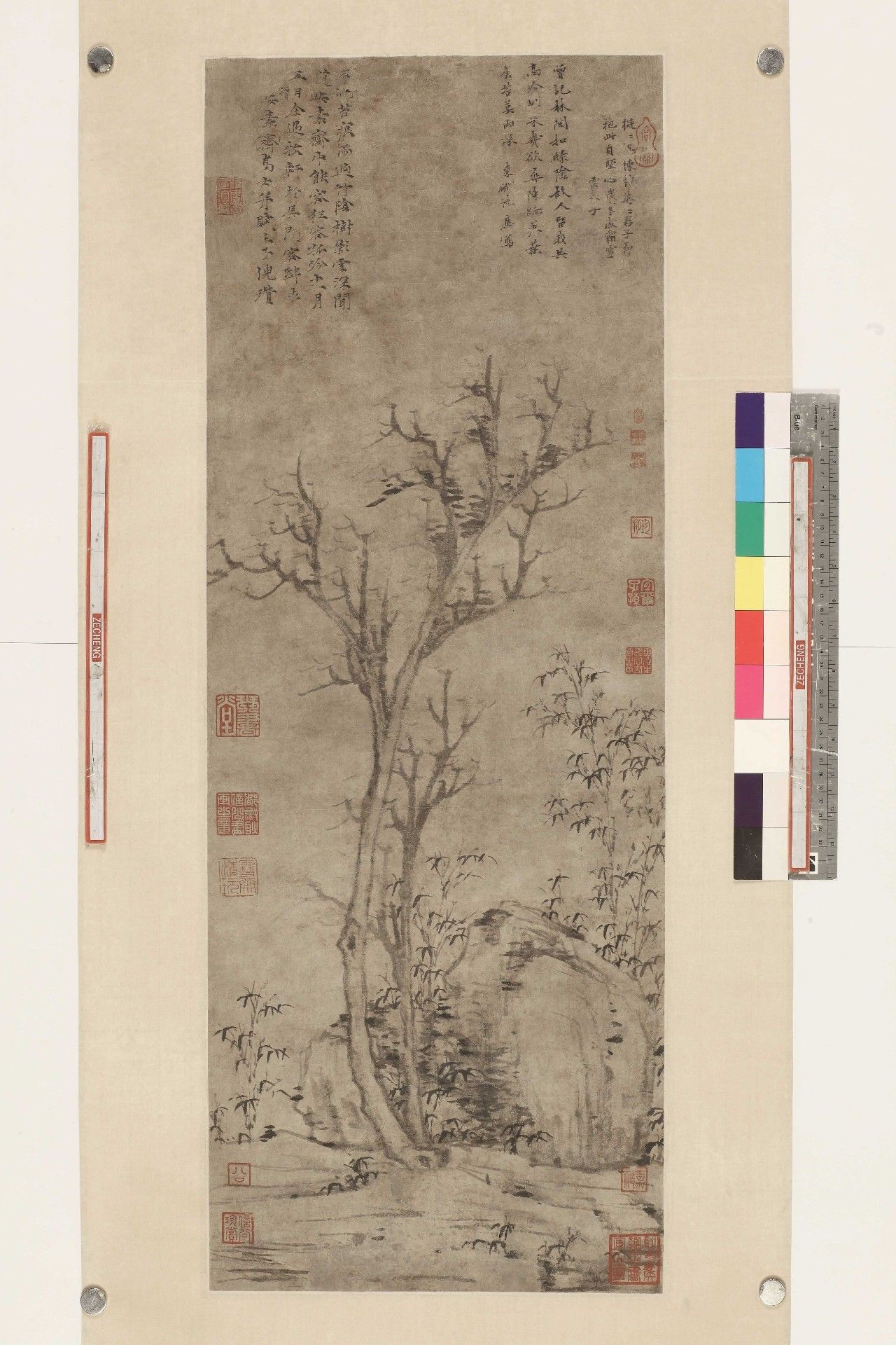 无锡博物馆苔痕树影图,无锡博物馆的倪瓒苔痕树影图在哪