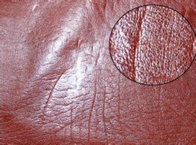 汽车真皮和仿真皮的区别,怎么识别真皮和仿真皮