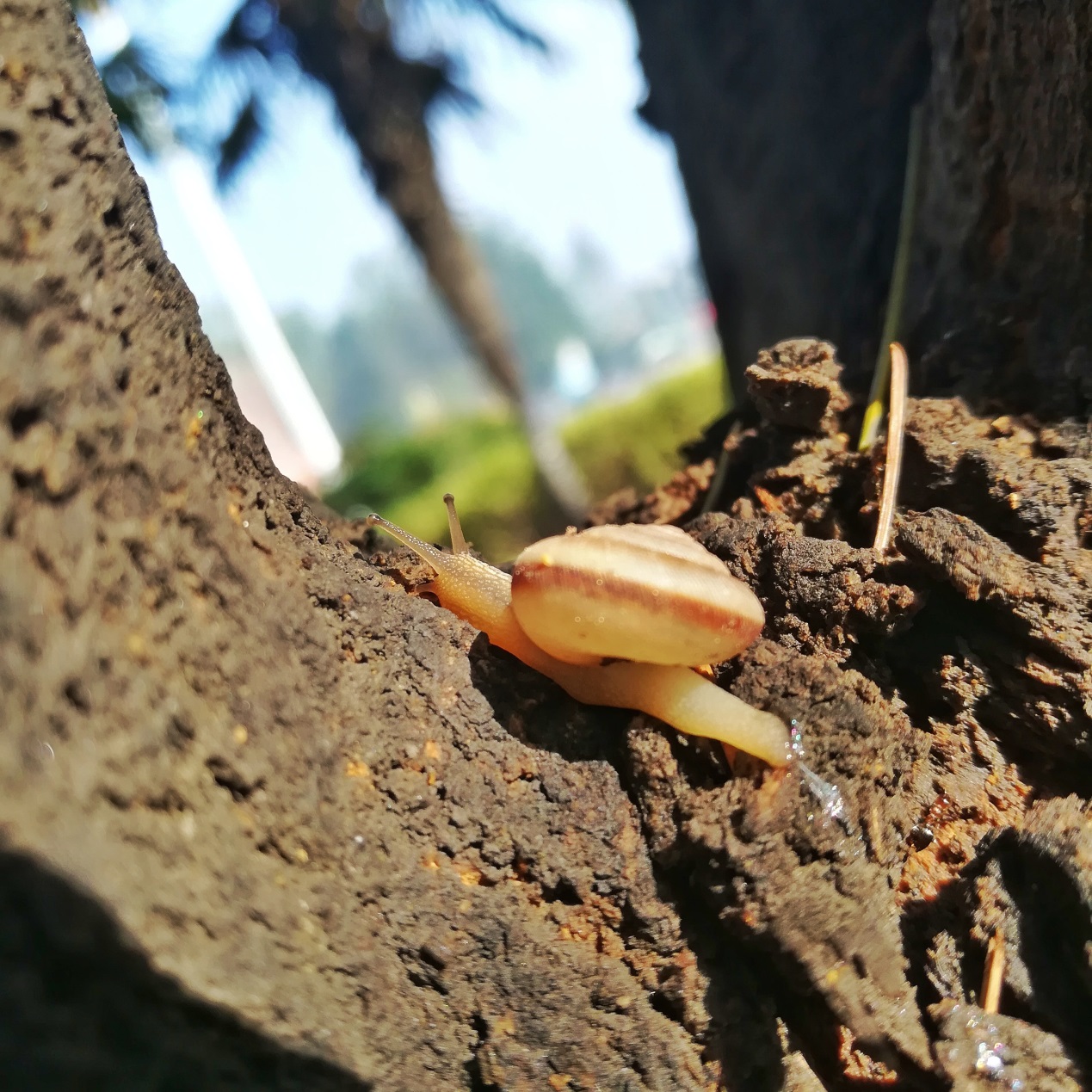 千元机中荣耀畅玩系列有好用的吗,千元旗舰手机荣耀畅玩7x