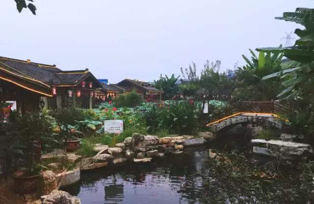 重庆必吃的12家火锅,重庆必吃的10家火锅