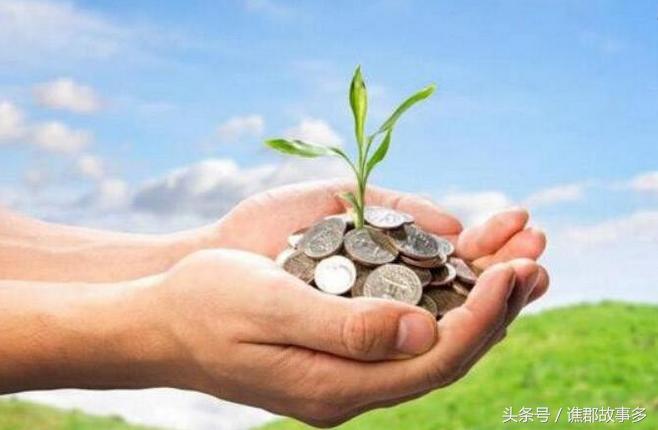 农村创业十大商机,农村致富项目阿里巴巴货源