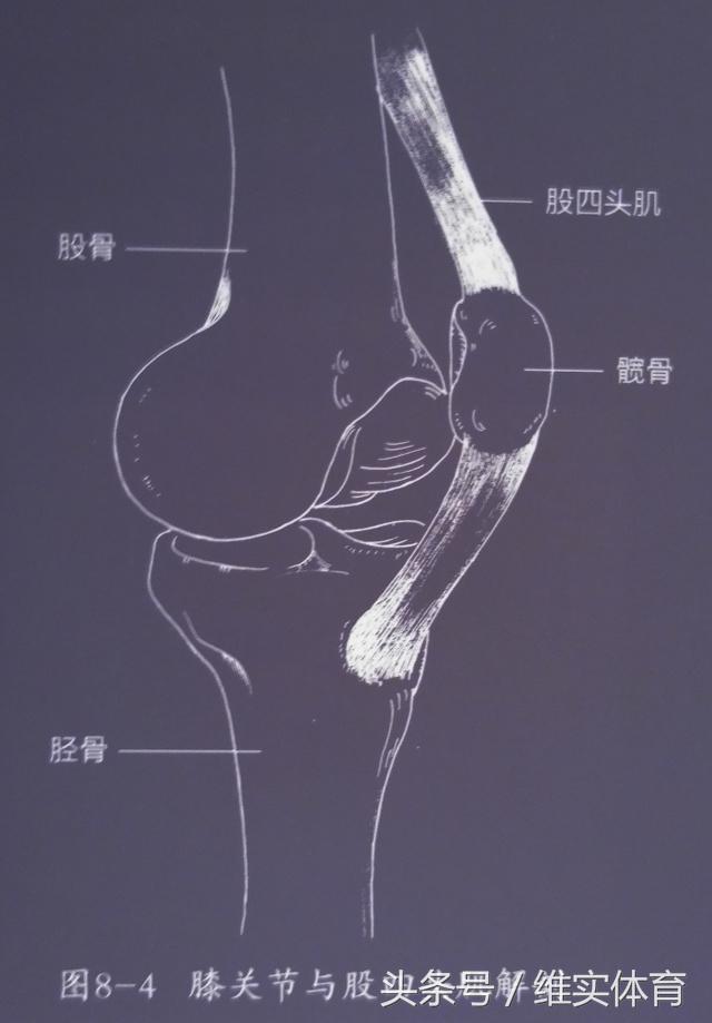 高尔夫手病,高尔夫球肘的发病率