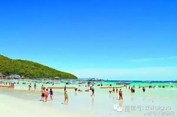 喜大普奔最新信息,喜大普奔免签