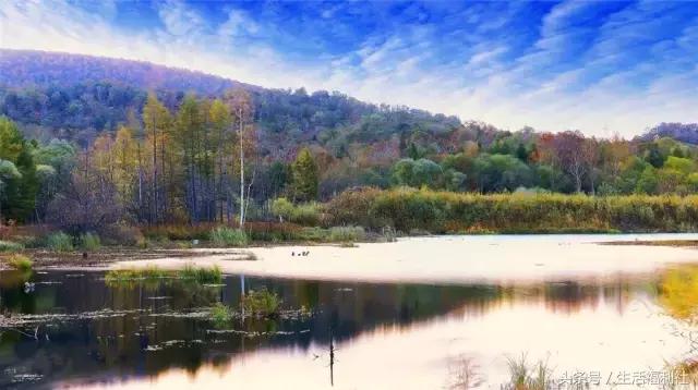 最能代表哈尔滨的图,哈尔滨城市形象符号