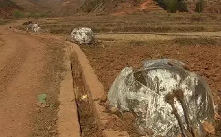 农村搭方便处理鸡粪的鸡舍,鸡场的鸡粪怎么处理才不臭