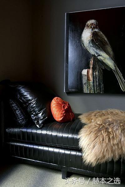 沙发皮质面料大解析,沙发用什么皮料最好