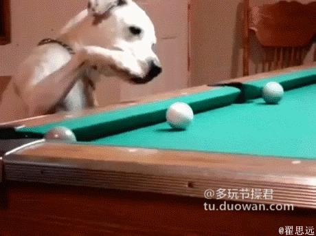 搞笑动态图：人见人爱的小萝莉