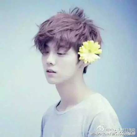 给我一个理由去追求,为什么都喜欢鹿晗