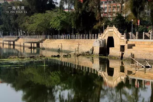 最美集美中学,集美中学长什么样