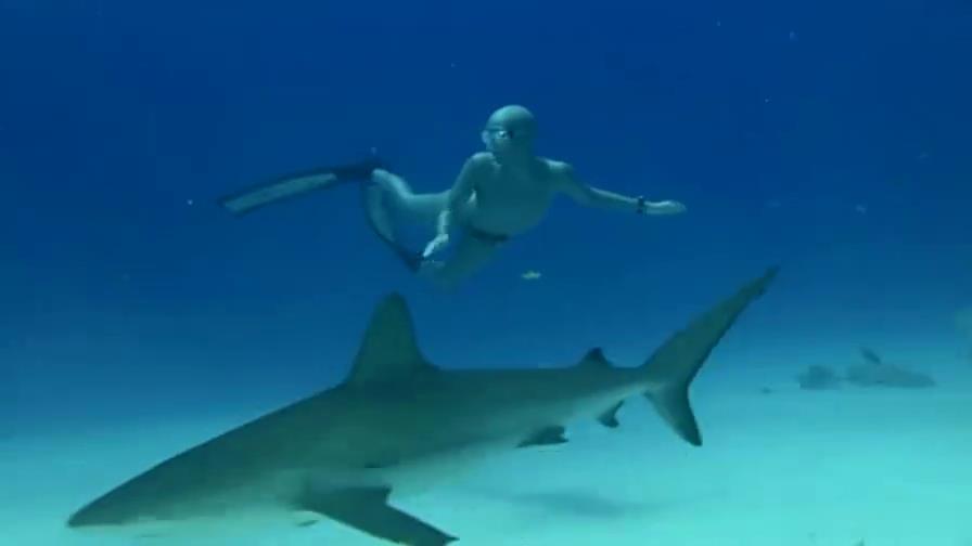 美女为了能在海中畅游，进行了恐怖的鲨鱼治疗法