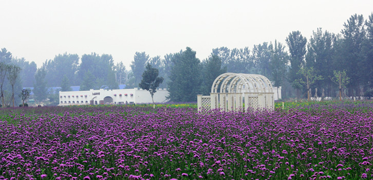 河南郑州免费旅游攻略,河南郑州免费景点有哪些