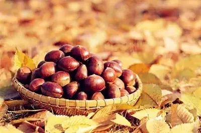 肾虚导致咳喘需服什么药,脾肾虚咳嗽吃什么药好