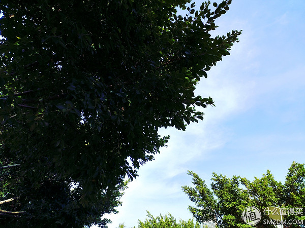 小米Es55和s55的区别,小米55系列评测