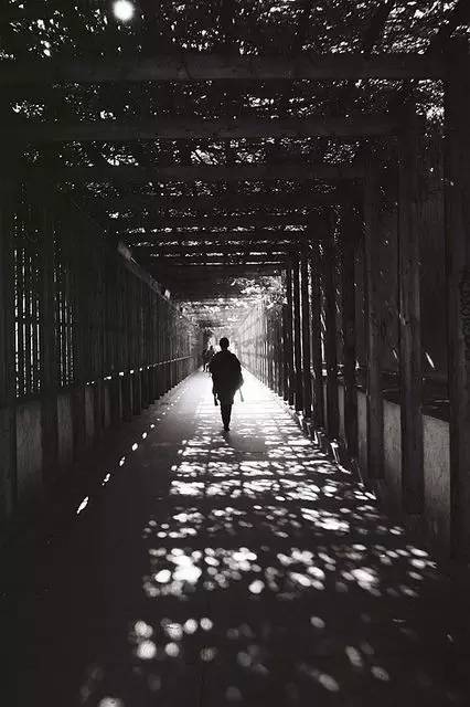 开膛手杰克杀人狂,开膛手杰克重现