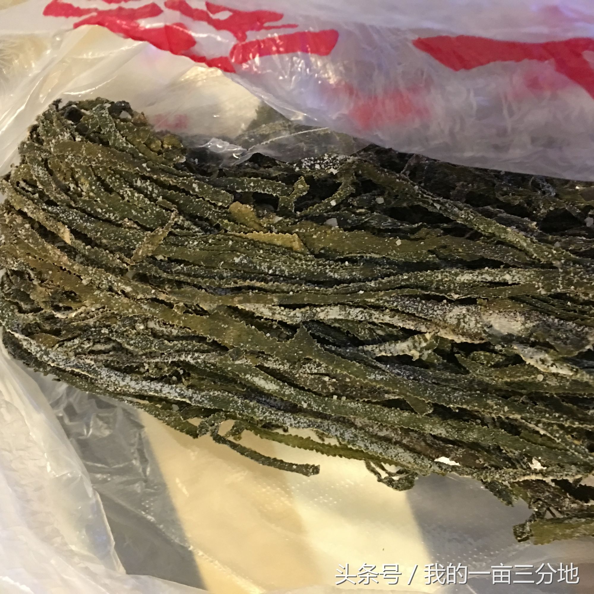 豆腐海带白菜汤的做法大全,海带金针菇白菜汤的做法大全