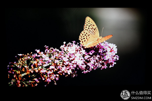 lgdisplaynanoips面板,联想yoga710什么尺寸