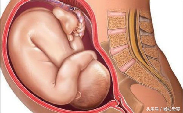 女人生育成功率高吗,女性生育能力取决于什么