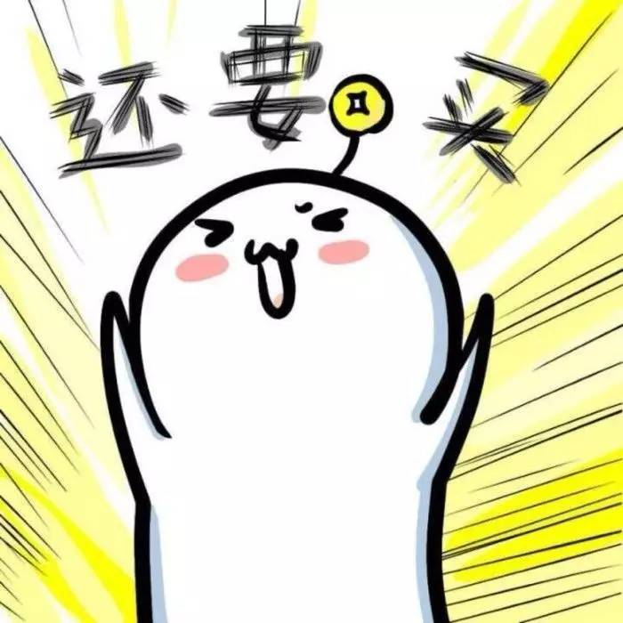 56个中美铲屎官每月花费，对，我就是这么变穷的