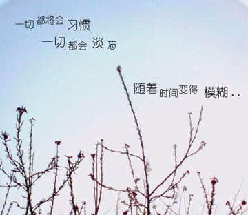 曾经已经回不去了,曾经已经回不去