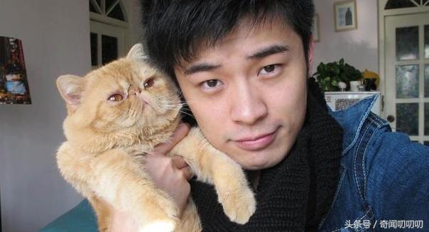 陈赫官宣生二胎了吗,陈赫官宣二胎成功了吗