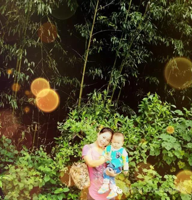 多肉在不经意间治愈你,多肉独立而坚强