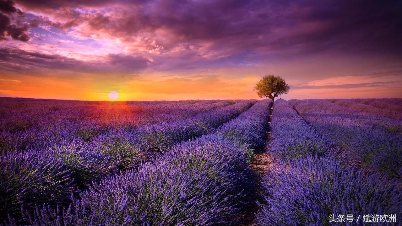 去法国老佛爷购物怎么退税,法国怎么才能退税